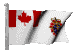 canadian_military_clr.gif