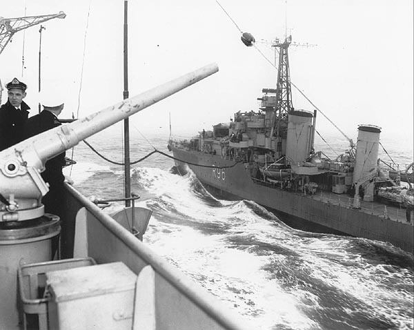 r96_nootka_ras1.jpg