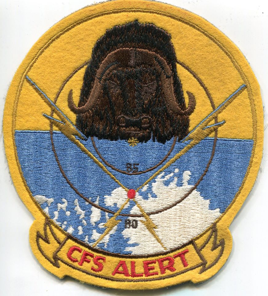 alert_jacket_patch_apr_2020.jpg