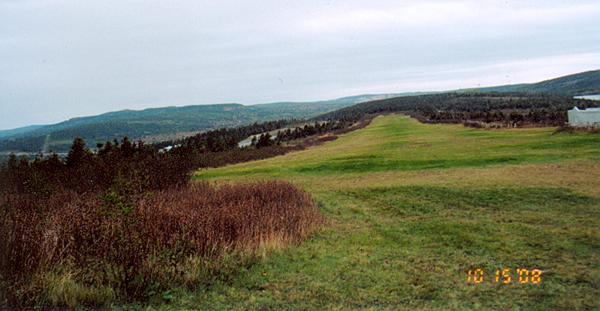 h_grace_historic_runway2.jpg