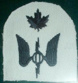 radioman_sp_badge.jpg