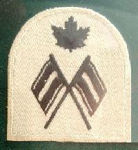 visual_signalman2_badge.jpg