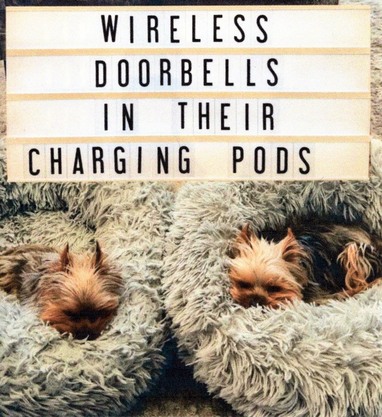 /doorbells.jpg